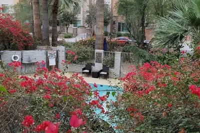 Image de Charmant 1 Chambre