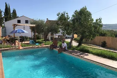 Image de Figuier de Santa Ana