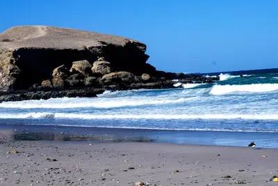 Image de À côté de la plage, détendez-vous dans un jardin tropical