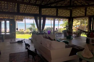 Image de Accueil Arts & Chats