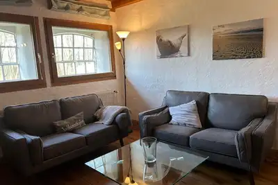 Image de Phoque - gelée blanche au bord de la mer