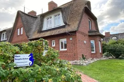 Image de Hippocampes domestiques - Hippocampes