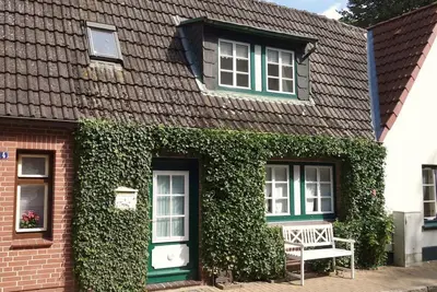 Image de Nid de lierre, Allemagne