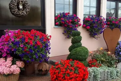 Image de Apartment Son - appartement à 5 lits