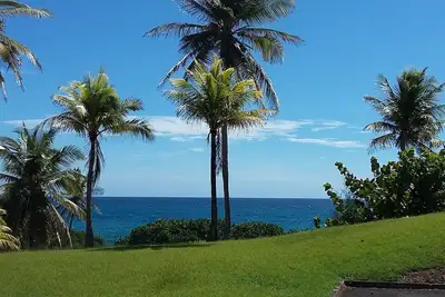 Image de Appartement T3 dans un cadre luxuriant au bord de mer - accès plage et piscine
