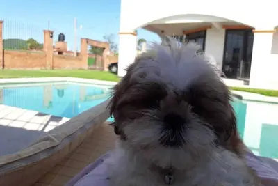 Image de Maison De Vacances À Cuautla