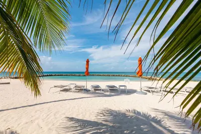 Image de Couchers de soleil Ocean Front Paradise Seven Mile Beach!