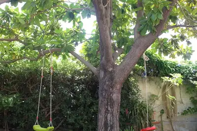 Image de Villa À Deux Pas De La Plage De Mondello