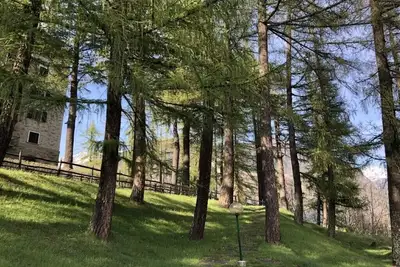 Image de Vacanza di relax nel verde della montagna