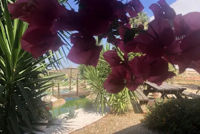 Image de Finca indépendante avec vue sur la mer