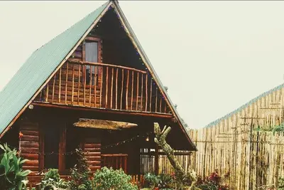 Image de Redwood Hollow cottege est votre séjour écologique de rêve