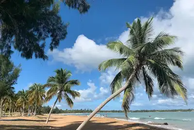 Image de Nouveau! Parfait Beach & Pool Condo Près de Rainforest et Golf pour 6 personnes