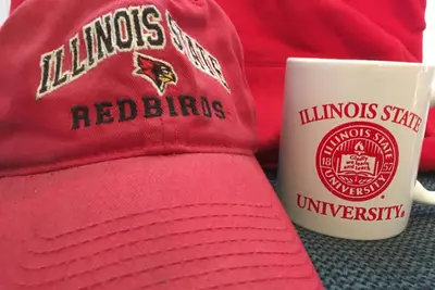 Image de Une expérience RedBird