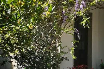 Image de Appartement Spacieux Et Calme Dans Une Villa