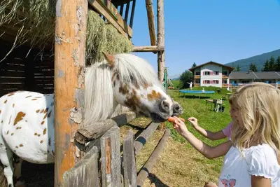 Image de Immeuble Isegrim, Altenmarkt