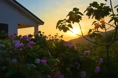Image de Casale Dionisia à Santa Maria di Castellabate, Parc national du Cilento