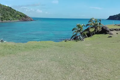 Plongez dans l'exotisme.