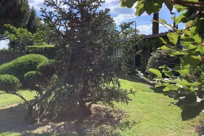 L'Atelier, la nature pour horizon
