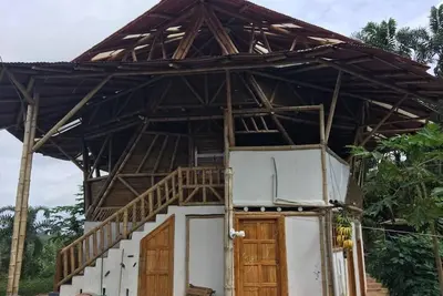 Image de 360 vues de la forêt tropicale de Choco