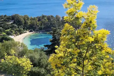 Image de Villa climatisée plein sud - magnifique vue mer panoramique sur les Iles d'Or.
