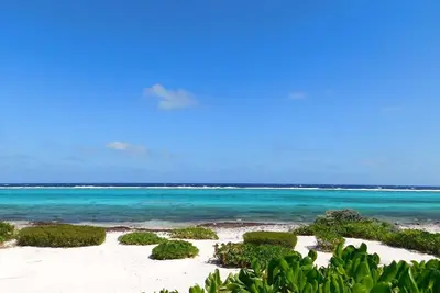 Image de Arrivez ici rapidement et ensuite vous prenez lentement. . . Détendez-vous @Champagne Sunrise.