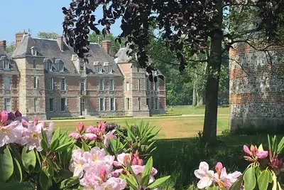 Image de Château de Janville * * * * * Swimming pool -Tennis - Golf - Beaches