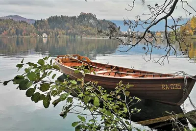 Vila Kljuce Apartments Bled