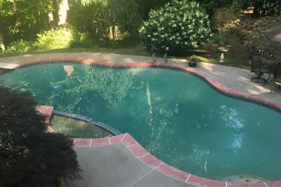 Image de Splendor-in-the-Woods 5 étoilesGardenApt avec piscine et patio Relax Refresh Renew