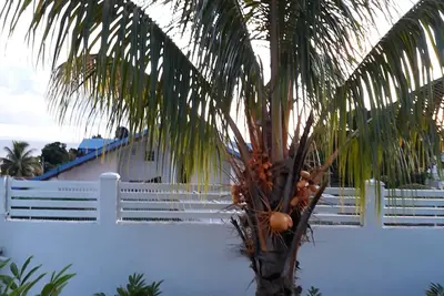 Image de Studio  dans pavillon