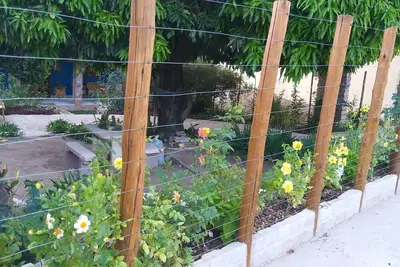 Image de Inn Nook of the Birds Chapada Diamantina