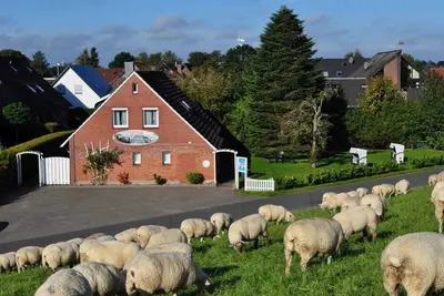 Image de Appartement Norderney