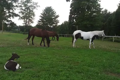 Image de Calme, 3 chambres, retraite de ferme de cheval