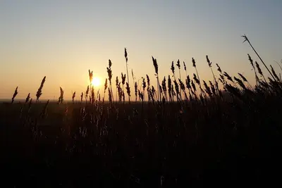 Image de Maison de vacances Wadden Sky