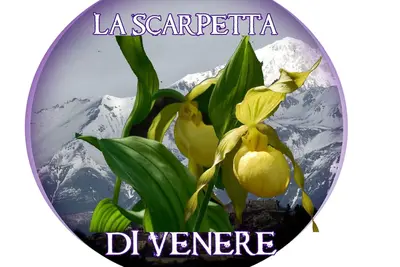 Image de Maison En Terrasse Dans Les Hautes Terres De Rocche - CHÊNE - Rocca Di Mezzo Aq