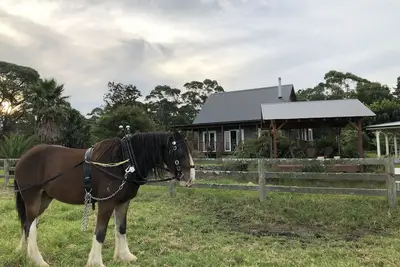 Image de Peppergrove Cottage - Berry's Premier Farm Stay