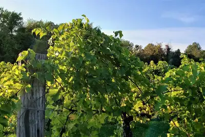 Image de Crestwood House - Rustic Ravine Glam au cœur des vignobles du lac Michigan.