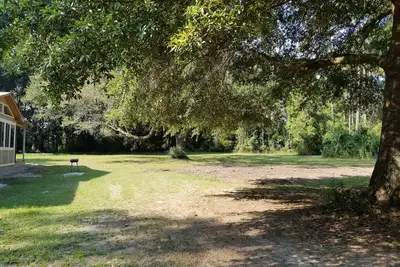 Image de Abandonnez la jungle de béton riverain pour votre escapade boisée privée!