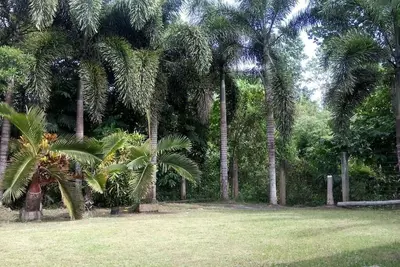 Image de Maison d'hôtes entourée d'arbres