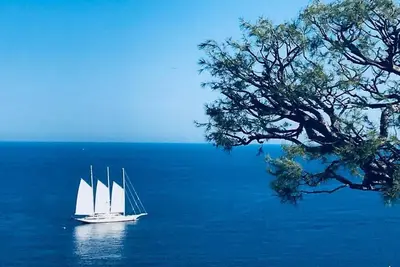 Image de Bord de mer - Petit bijou - Vue mer exceptionnelle & jardin