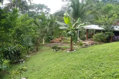 Image de Casa Pura Natura est à 50 min de Manuel Antonio