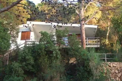 Image de Eizelhaus entouré de pins, à quelques minutes de la plage, les chiens de bienvenue