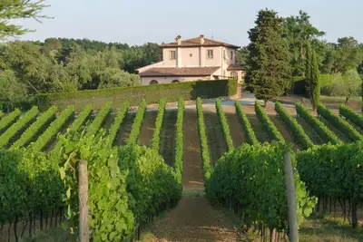 Charming and comfortable apartment  in  organic winery