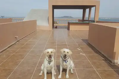 Image de Pickleball by the Ocean, vue magnifique sur l'océan