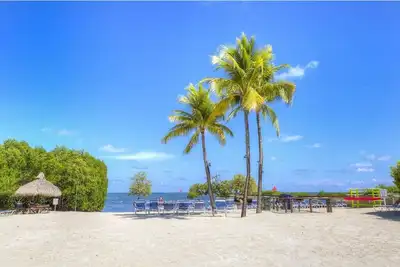 Image de Vue panoramique sur l'océan dans un cadre tropical tranquille
