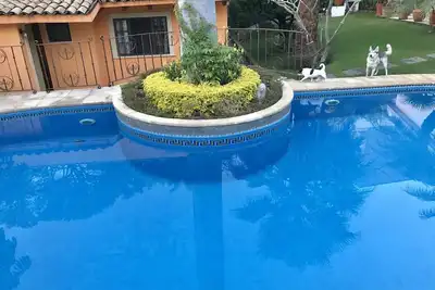 Image de Bungalow spectaculaire avec piscine, barbecue, grand jardin et emplacement