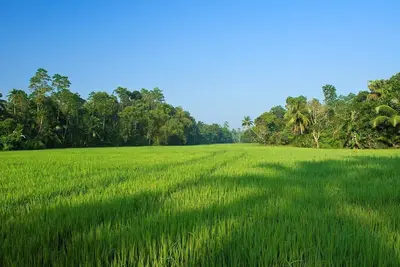 Image de Villa de luxe de 4 chambres avec piscine, près du fort de Galle et de la plage de Talpe