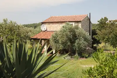 Image de Maison Flamingo (14619-K1) - Pasman