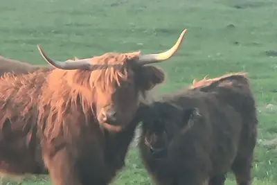 Image de Appartement calme