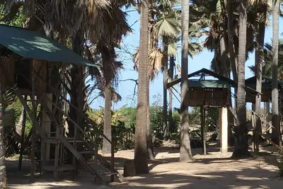 Image de Un paradis préservé dans le sud de la Gambie '' Treehouse ''