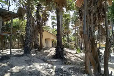 Image de Le paradis préservé du sud de la Gambie '' Luxury Beach House ''
